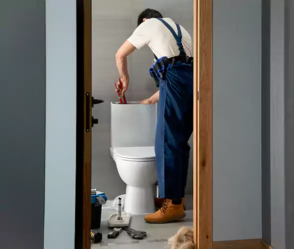 Professional Plumbers for Toilet Bowl Replacement in Capitola, CA: Schedule Affordable Toilet Replacement Services With Us
