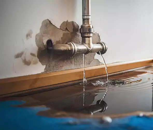 Professional Water Damage Restoration Experts in Capitola, CA — Fast, Reliable & Certified