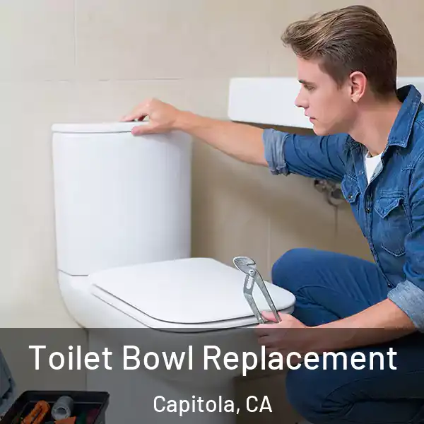  Toilet Bowl Replacement Capitola, CA